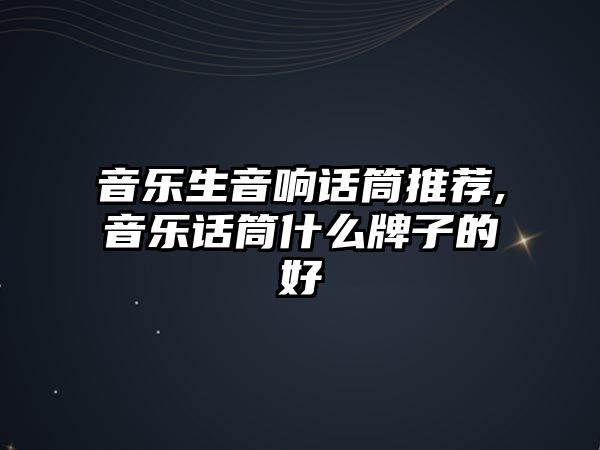 音樂生音響話筒推薦,音樂話筒什么牌子的好