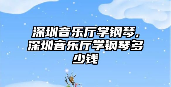 深圳音樂廳學鋼琴,深圳音樂廳學鋼琴多少錢