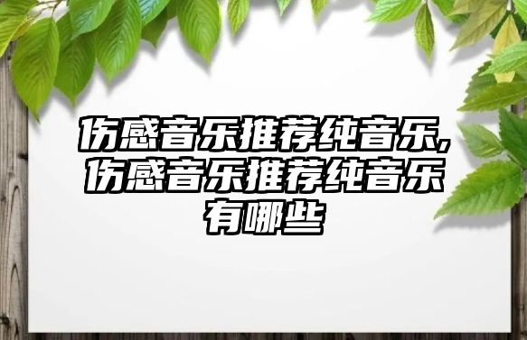 傷感音樂推薦純音樂,傷感音樂推薦純音樂有哪些