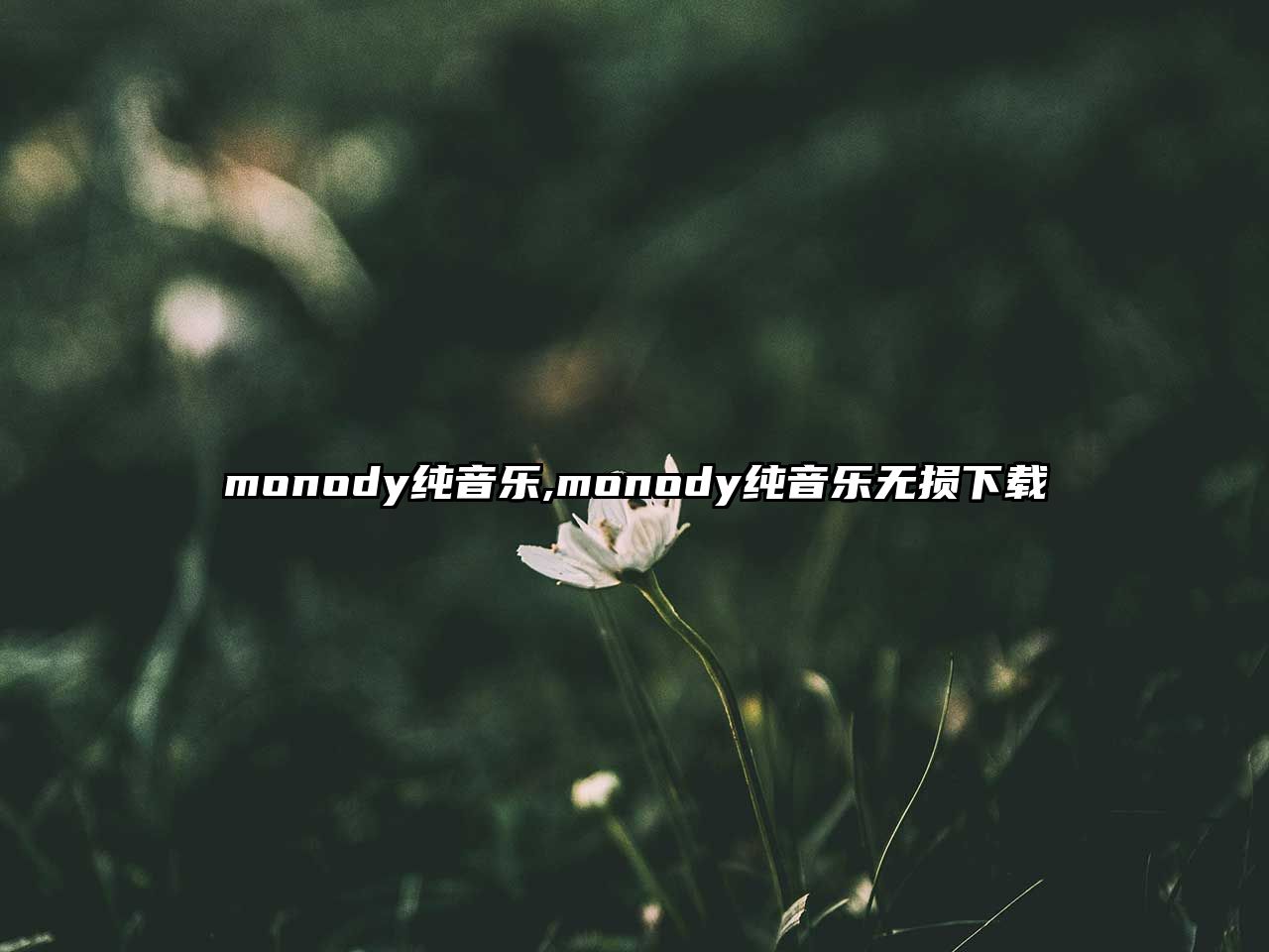 monody純音樂,monody純音樂無損下載