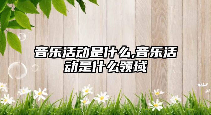 音樂活動是什么,音樂活動是什么領域