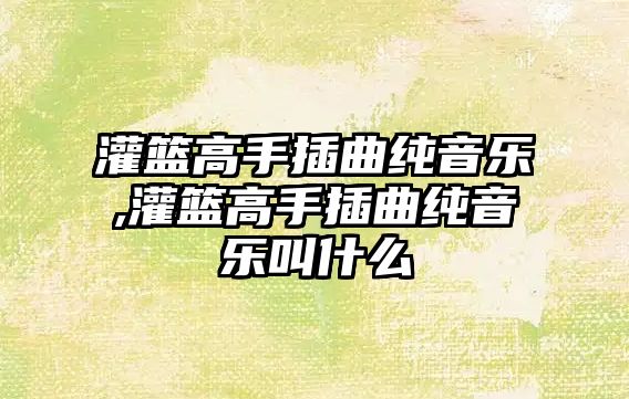 灌籃高手插曲純音樂,灌籃高手插曲純音樂叫什么