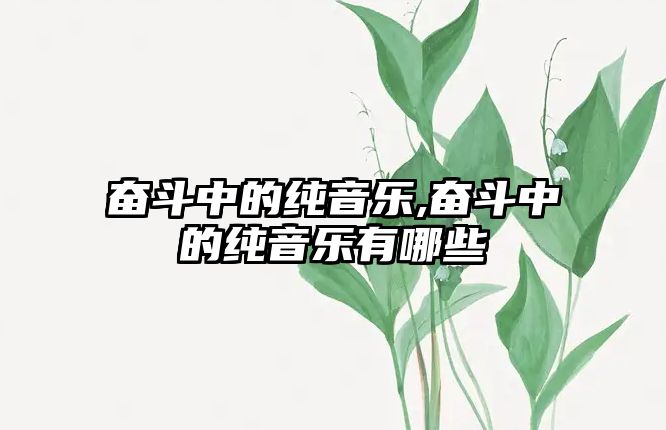 奮斗中的純音樂,奮斗中的純音樂有哪些