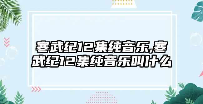 寒武紀(jì)12集純音樂,寒武紀(jì)12集純音樂叫什么