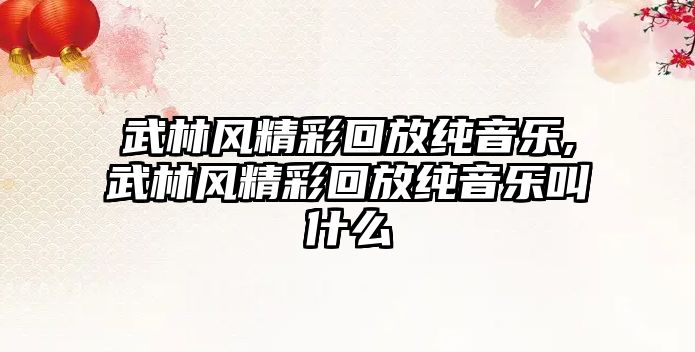 武林風精彩回放純音樂,武林風精彩回放純音樂叫什么