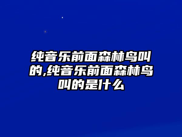 純音樂前面森林鳥叫的,純音樂前面森林鳥叫的是什么