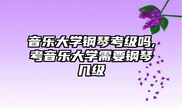 音樂(lè)大學(xué)鋼琴考級(jí)嗎,考音樂(lè)大學(xué)需要鋼琴幾級(jí)