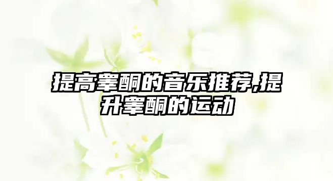 提高睪酮的音樂推薦,提升睪酮的運動