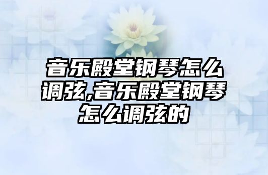 音樂殿堂鋼琴怎么調弦,音樂殿堂鋼琴怎么調弦的