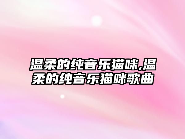 溫柔的純音樂貓咪,溫柔的純音樂貓咪歌曲