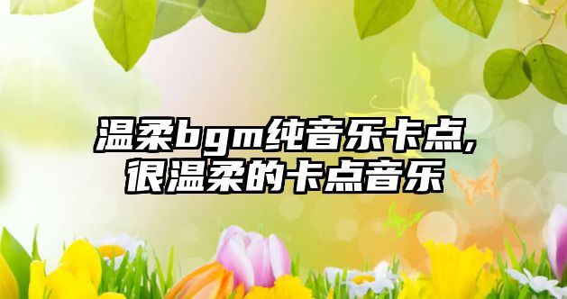 溫柔bgm純音樂卡點(diǎn),很溫柔的卡點(diǎn)音樂