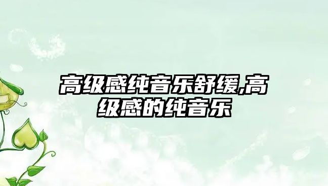 高級(jí)感純音樂舒緩,高級(jí)感的純音樂