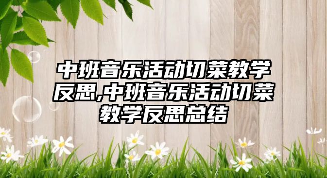 中班音樂活動切菜教學反思,中班音樂活動切菜教學反思總結