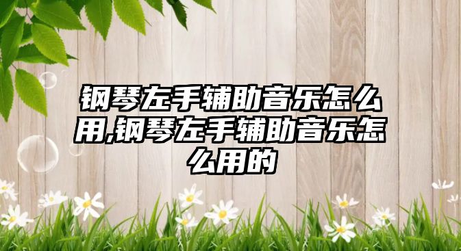 鋼琴左手輔助音樂怎么用,鋼琴左手輔助音樂怎么用的