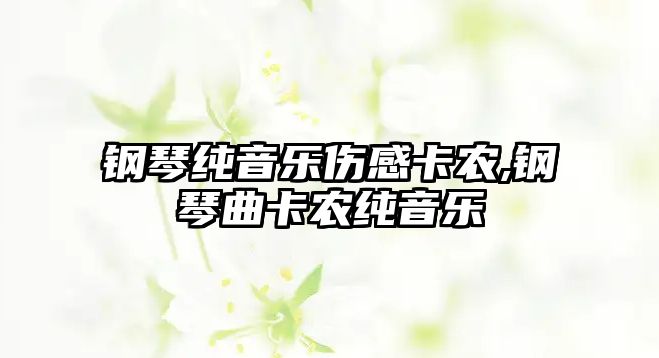 鋼琴純音樂(lè)傷感卡農(nóng),鋼琴曲卡農(nóng)純音樂(lè)