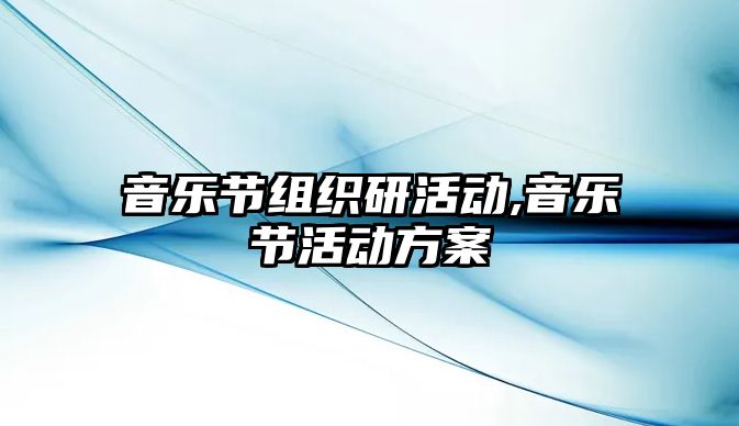 音樂節組織研活動,音樂節活動方案