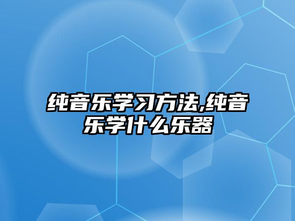 純音樂學(xué)習(xí)方法,純音樂學(xué)什么樂器