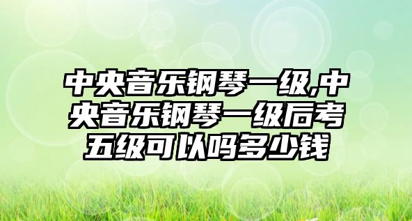 中央音樂(lè)鋼琴一級(jí),中央音樂(lè)鋼琴一級(jí)后考五級(jí)可以嗎多少錢