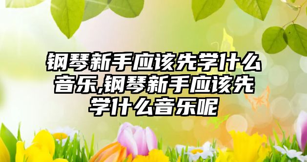 鋼琴新手應該先學什么音樂,鋼琴新手應該先學什么音樂呢