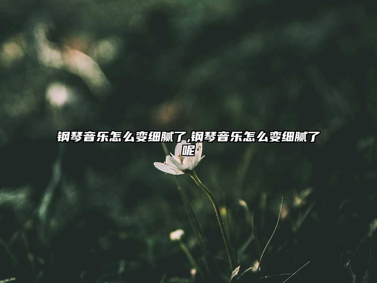 鋼琴音樂怎么變細(xì)膩了,鋼琴音樂怎么變細(xì)膩了呢