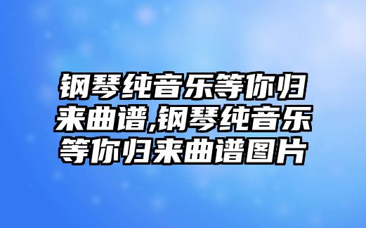 鋼琴純音樂等你歸來曲譜,鋼琴純音樂等你歸來曲譜圖片