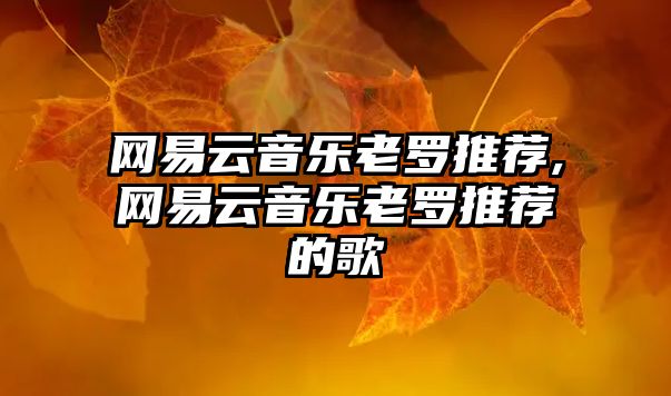 網易云音樂老羅推薦,網易云音樂老羅推薦的歌