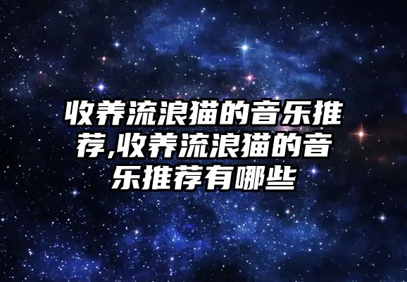 收養(yǎng)流浪貓的音樂推薦,收養(yǎng)流浪貓的音樂推薦有哪些