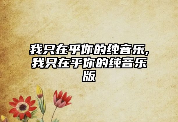 我只在乎你的純音樂,我只在乎你的純音樂版