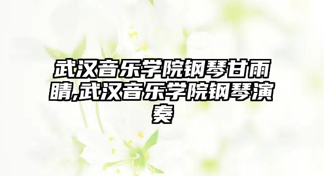 武漢音樂學院鋼琴甘雨睛,武漢音樂學院鋼琴演奏