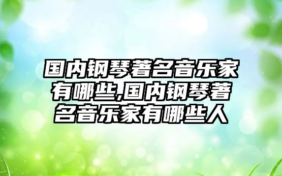 國內鋼琴著名音樂家有哪些,國內鋼琴著名音樂家有哪些人