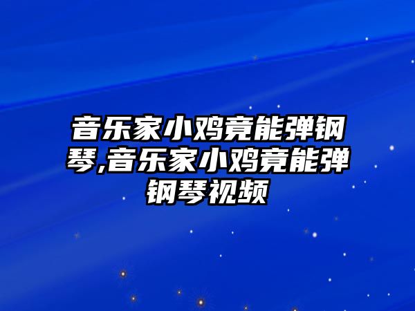 音樂家小雞竟能彈鋼琴,音樂家小雞竟能彈鋼琴視頻