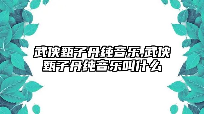 武俠甄子丹純音樂,武俠甄子丹純音樂叫什么