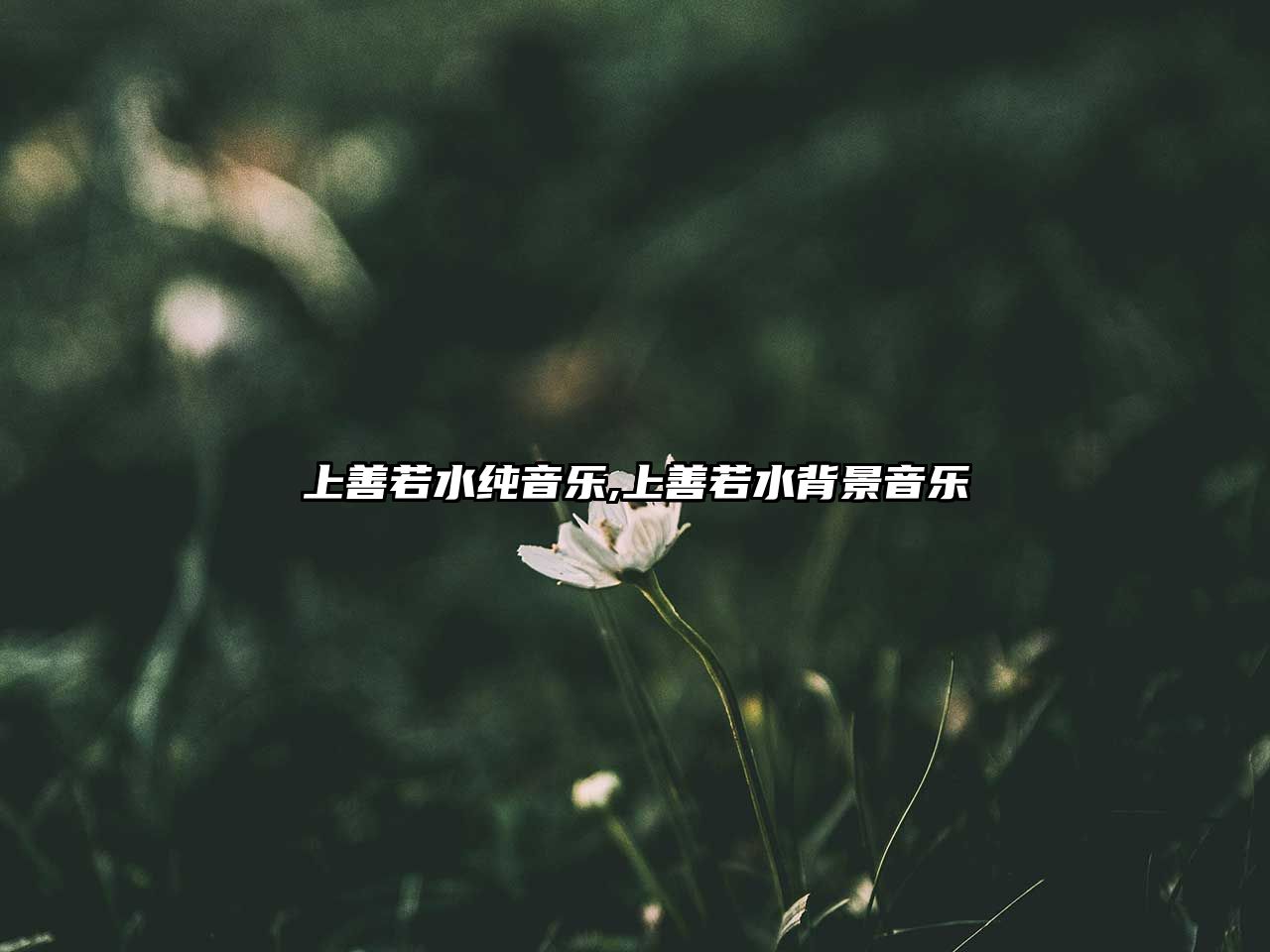 上善若水純音樂,上善若水背景音樂