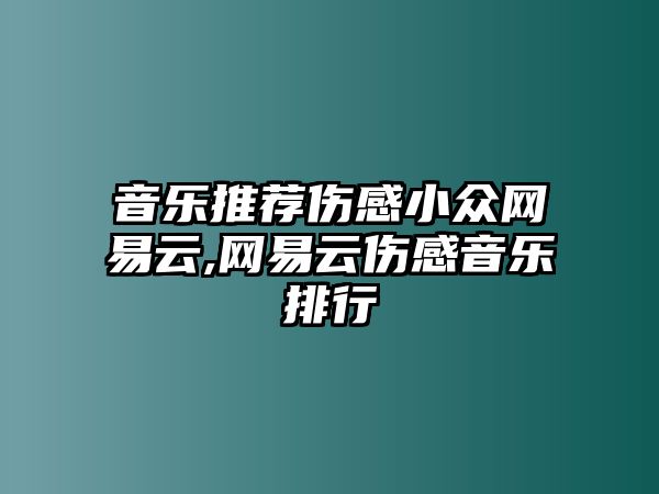 音樂推薦傷感小眾網(wǎng)易云,網(wǎng)易云傷感音樂排行