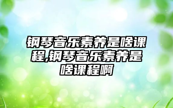 鋼琴音樂素養是啥課程,鋼琴音樂素養是啥課程啊