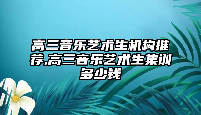 高三音樂藝術生機構推薦,高三音樂藝術生集訓多少錢