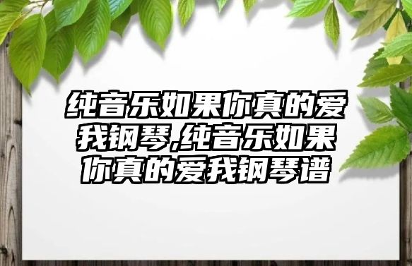 純音樂如果你真的愛我鋼琴,純音樂如果你真的愛我鋼琴譜