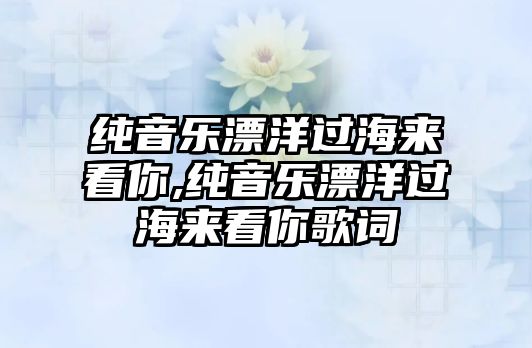 純音樂漂洋過海來看你,純音樂漂洋過海來看你歌詞