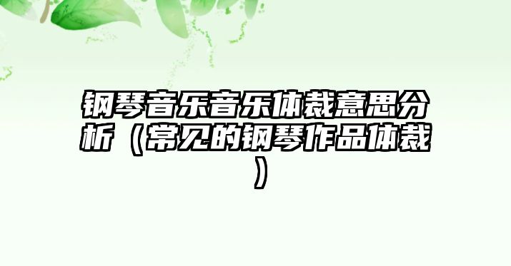 鋼琴音樂(lè)音樂(lè)體裁意思分析（常見(jiàn)的鋼琴作品體裁）