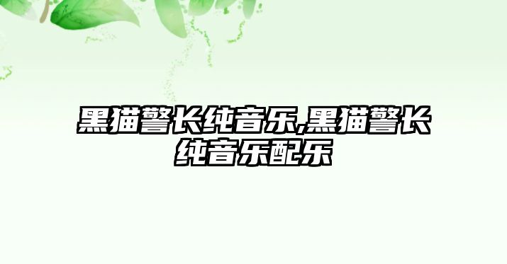 黑貓警長純音樂,黑貓警長純音樂配樂