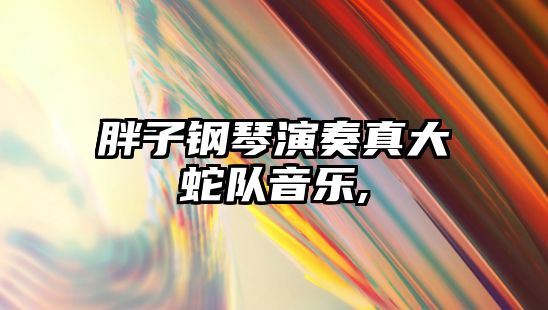 胖子鋼琴演奏真大蛇隊音樂,