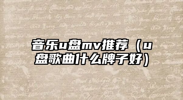 音樂u盤mv推薦（u盤歌曲什么牌子好）